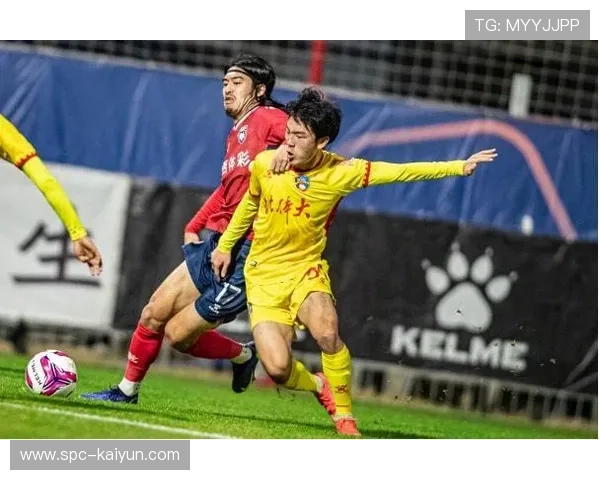 赛制改革民意调查，球迷意见收集分析